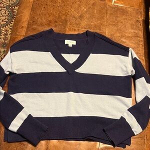 Evereve Wendy blue stripe v neck sweater